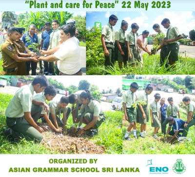 Plant and care for Peace - 22 May 2023